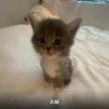 Больше стикеров → 20
