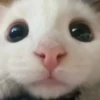 Больше стикеров → 21