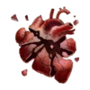 The Heart 19