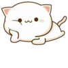 Anime Cat 24