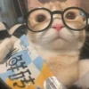 Больше стикеров → 22