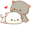 Anime Cat 25