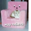 SFIJJTFZKR_by_stikers_du_ark_bot 27