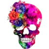 Skulls❥☯︎ͫ3🇲🇽Clásica 24