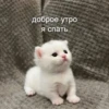 Больше стикеров → 25