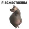 Gloria 20