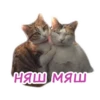 Chatroom 23
