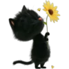 Gatitos❥☯︎ͫ5🇲🇽Clásica 27