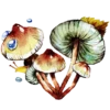 The Heart 26
