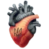 The Heart 27