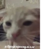 Больше стикеров → 28