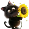 Gatitos❥☯︎ͫ5🇲🇽Clásica 28