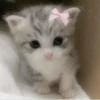 Больше стикеров → 29