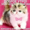 Больше стикеров → 30