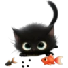 Gatitos❥☯︎ͫ5🇲🇽Clásica 30