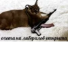 Big Boss Шлёпа 5