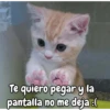Te quiero pegar y la pantalla no me deja :(