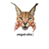 Big Boss Шлёпа 9