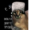 Big Boss Шлёпа 11