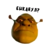 Shrek forever 5