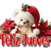Saludos Navideños ✺1🇻🇪 7