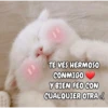 TE VES HERMOSO CONMIGO Y BIEN FEO CON CUALQUIER OTRA :(