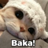 Baka!