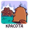 Chpic.su • | Борис 13