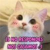 SI NO RESPONDES NOS CASAMOS $3