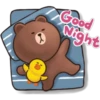 🐻🐤 BrOwN & FrIeNdS 🐤🐻 7