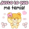 Charming Little Bear 16