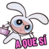 A QUE SÍ