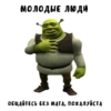 Shrek forever 10
