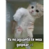 Ya no aguanto te woa golpear >:(