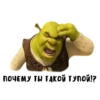 Shrek forever 11