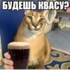 Big Boss Шлёпа 22