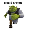 Shrek forever 13