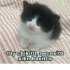 toy chikito, necesito siEn besitos
