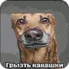 PNbiRTG_by_achestickbot 23