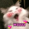 waaaa