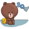 🐻🐤 BrOwN & FrIeNdS 🐤🐻 17