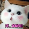 SE... SENPAI