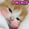 A MIMIR