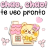 Charming Little Bear 21