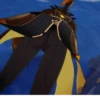 genshin 21