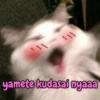yamete kudasai nyaaa
