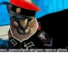 Big Boss Шлёпа 26