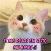 SI ME DEJAS EN VISTO ME AMAS 3