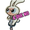CHAQUE NO