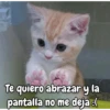 Te quiero abrazar y la pantalla no me deja :(